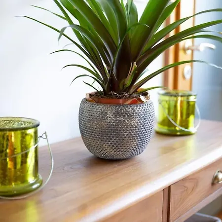 Private Getaway 블레드