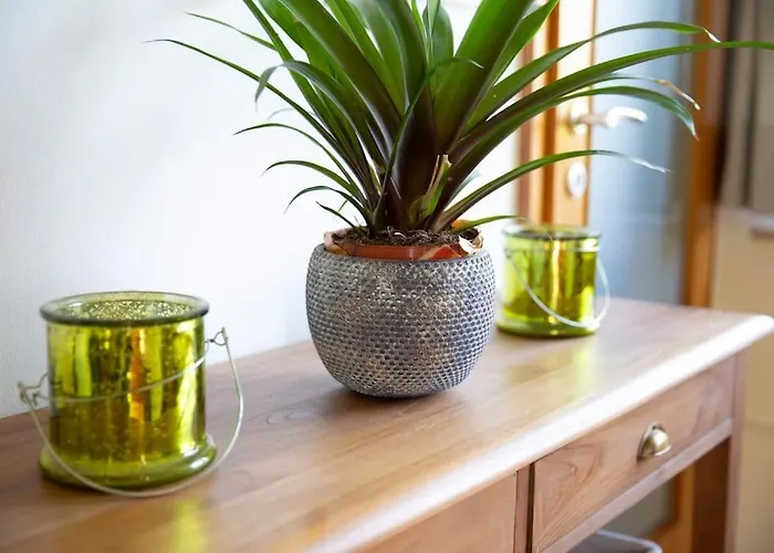 Private Getaway ブレッド